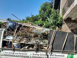 Best Retail Junk Removal  in Albion, PA